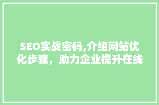 SEO实战密码,介绍网站优化步骤，助力企业提升在线竞争力