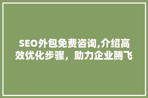 SEO外包免费咨询,介绍高效优化步骤，助力企业腾飞