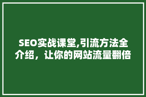 SEO实战课堂,引流方法全介绍，让你的网站流量翻倍！