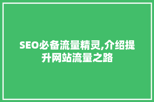 SEO必备流量精灵,介绍提升网站流量之路