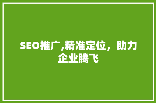 SEO推广,精准定位，助力企业腾飞
