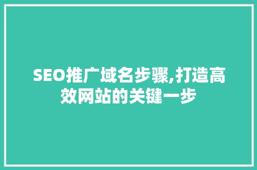 SEO推广域名步骤,打造高效网站的关键一步