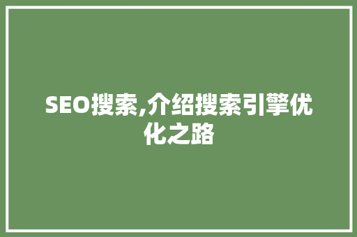 SEO搜索,介绍搜索引擎优化之路