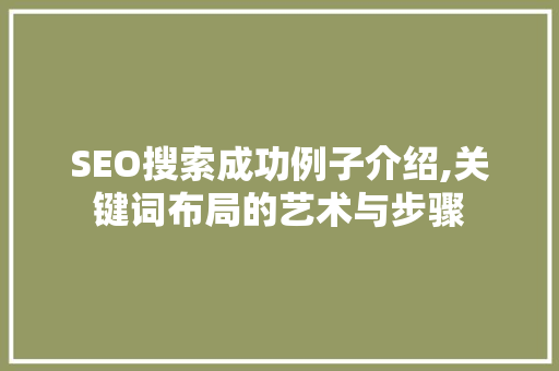 SEO搜索成功例子介绍,关键词布局的艺术与步骤