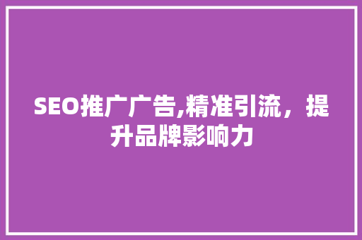SEO推广广告,精准引流，提升品牌影响力