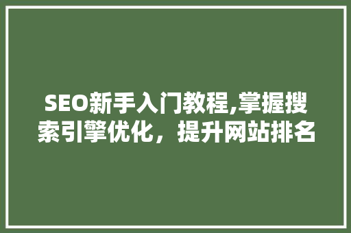 SEO新手入门教程,掌握搜索引擎优化，提升网站排名