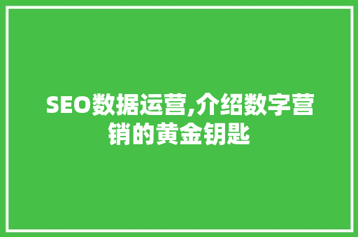 SEO数据运营,介绍数字营销的黄金钥匙
