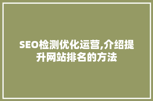 SEO检测优化运营,介绍提升网站排名的方法