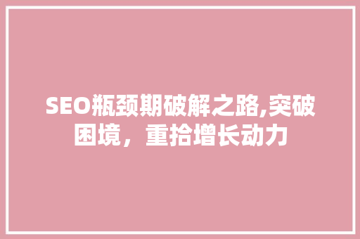 SEO瓶颈期破解之路,突破困境，重拾增长动力