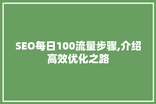 SEO每日100流量步骤,介绍高效优化之路
