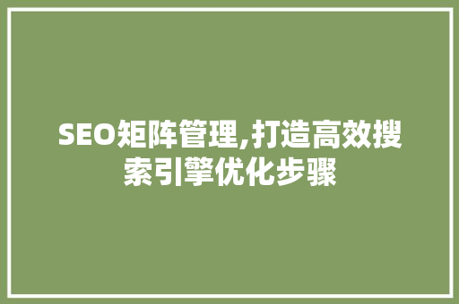 SEO矩阵管理,打造高效搜索引擎优化步骤