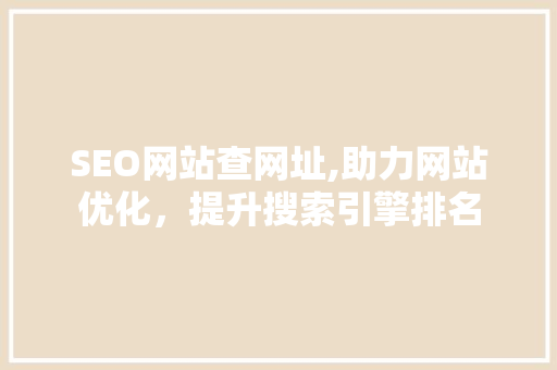 SEO网站查网址,助力网站优化，提升搜索引擎排名
