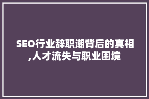 SEO行业辞职潮背后的真相,人才流失与职业困境