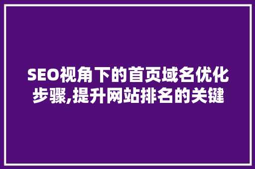 SEO视角下的首页域名优化步骤,提升网站排名的关键要素