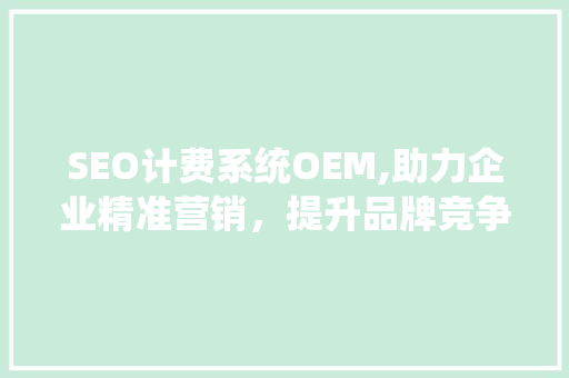 SEO计费系统OEM,助力企业精准营销，提升品牌竞争力