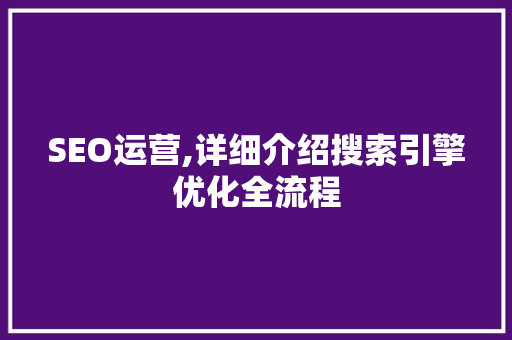 SEO运营,详细介绍搜索引擎优化全流程
