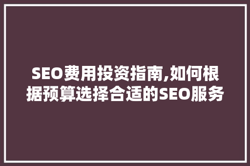 SEO费用投资指南,如何根据预算选择合适的SEO服务