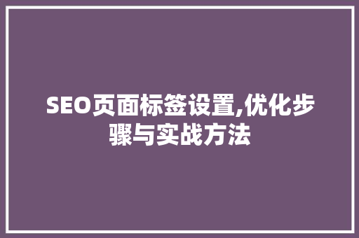 SEO页面标签设置,优化步骤与实战方法