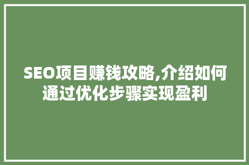 SEO项目赚钱攻略,介绍如何通过优化步骤实现盈利