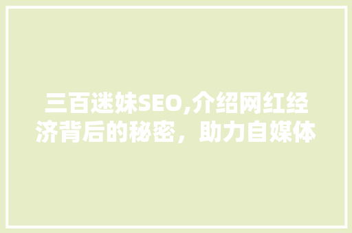 三百迷妹SEO,介绍网红经济背后的秘密，助力自媒体成功
