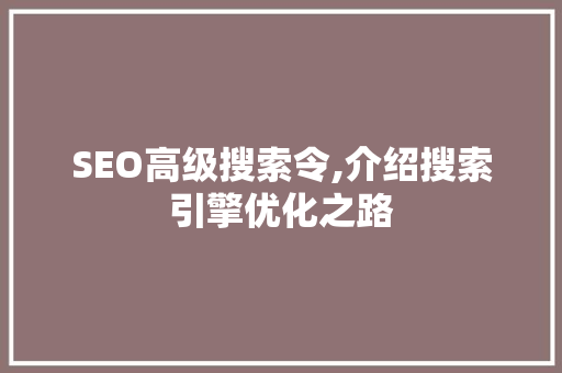 SEO高级搜索令,介绍搜索引擎优化之路