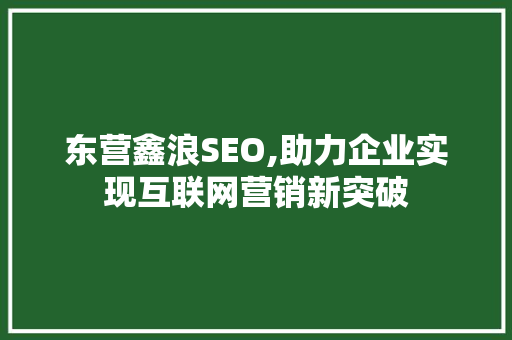 东营鑫浪SEO,助力企业实现互联网营销新突破