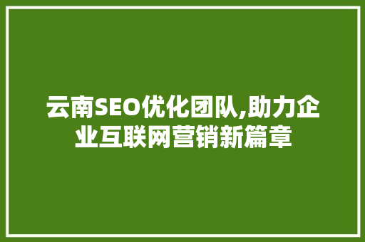 云南SEO优化团队,助力企业互联网营销新篇章