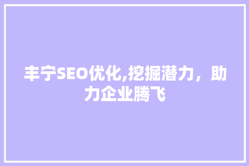 丰宁SEO优化,挖掘潜力，助力企业腾飞