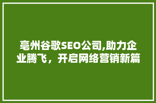 亳州谷歌SEO公司,助力企业腾飞，开启网络营销新篇章