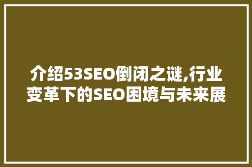 介绍53SEO倒闭之谜,行业变革下的SEO困境与未来展望