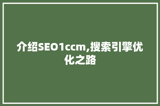 介绍SEO1ccm,搜索引擎优化之路