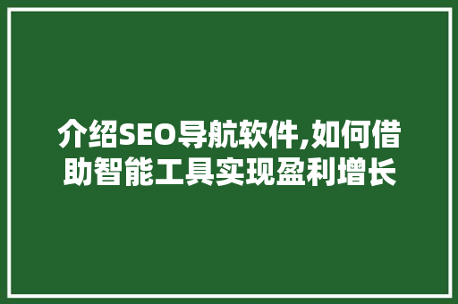 介绍SEO导航软件,如何借助智能工具实现盈利增长