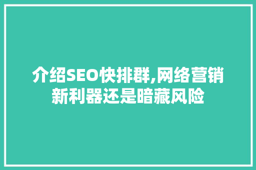 介绍SEO快排群,网络营销新利器还是暗藏风险