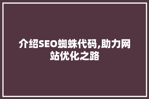 介绍SEO蜘蛛代码,助力网站优化之路
