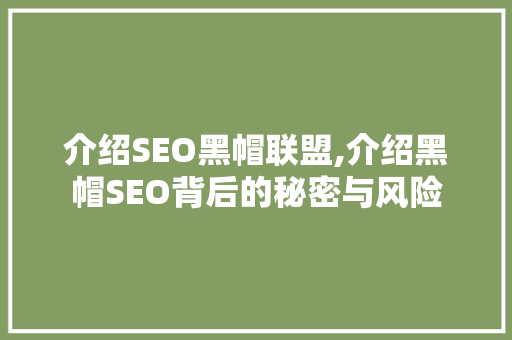介绍SEO黑帽联盟,介绍黑帽SEO背后的秘密与风险