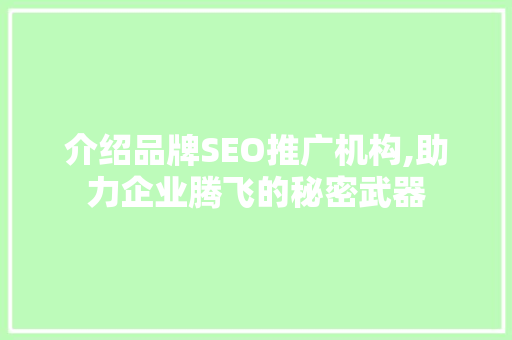 介绍品牌SEO推广机构,助力企业腾飞的秘密武器