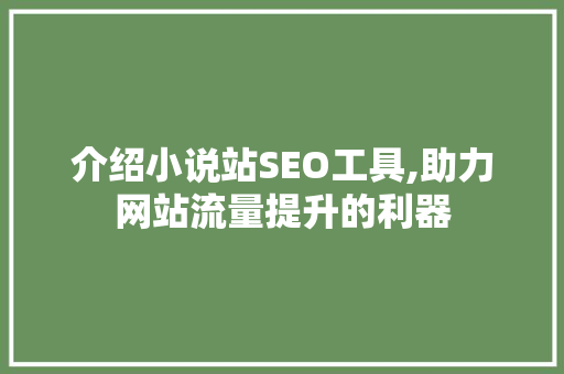 介绍小说站SEO工具,助力网站流量提升的利器