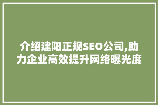 介绍建阳正规SEO公司,助力企业高效提升网络曝光度