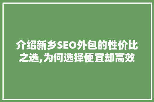 介绍新乡SEO外包的性价比之选,为何选择便宜却高效