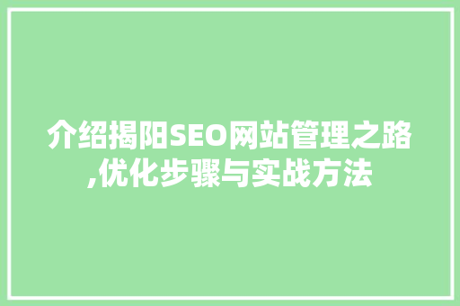 介绍揭阳SEO网站管理之路,优化步骤与实战方法