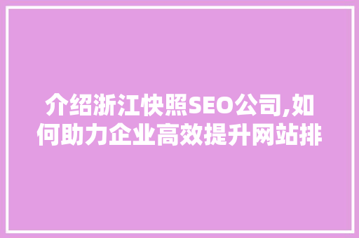 介绍浙江快照SEO公司,如何助力企业高效提升网站排名