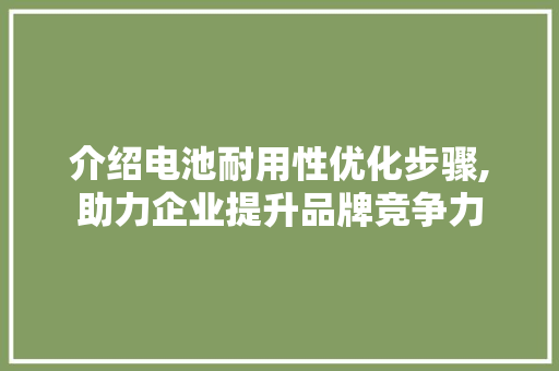 介绍电池耐用性优化步骤,助力企业提升品牌竞争力