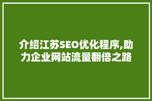 介绍江苏SEO优化程序,助力企业网站流量翻倍之路