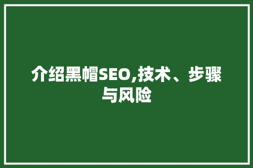 介绍黑帽SEO,技术、步骤与风险