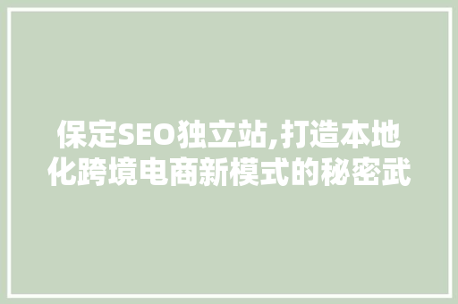 保定SEO独立站,打造本地化跨境电商新模式的秘密武器