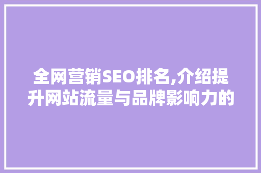 全网营销SEO排名,介绍提升网站流量与品牌影响力的方法