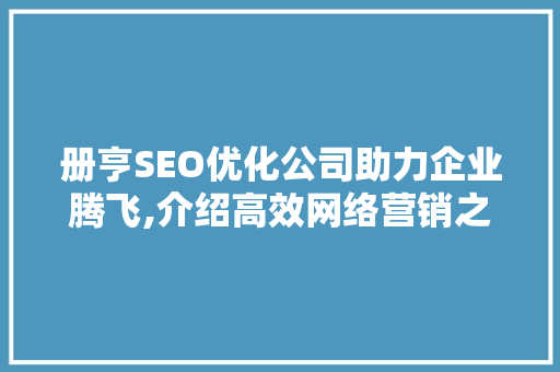 册亨SEO优化公司助力企业腾飞,介绍高效网络营销之路