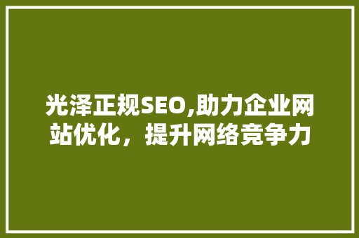 光泽正规SEO,助力企业网站优化，提升网络竞争力