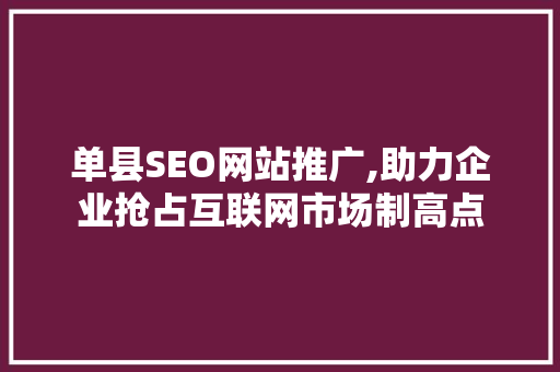 单县SEO网站推广,助力企业抢占互联网市场制高点