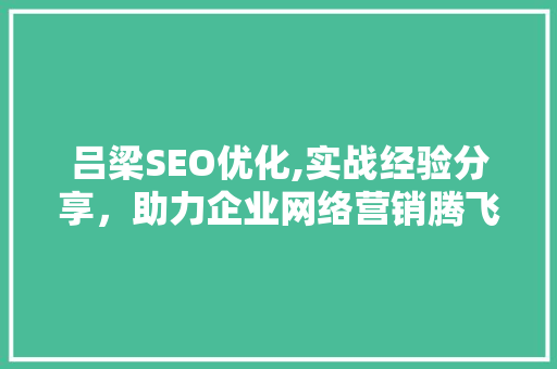 吕梁SEO优化,实战经验分享，助力企业网络营销腾飞